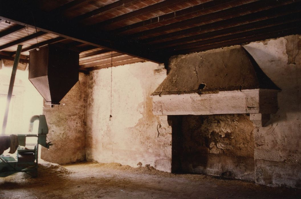 Château de Conforgien : Donjon, 1er étage, cheminée monumentale, vue générale