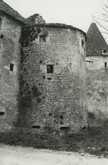 Château de la Romagne (ancien) : Porterie, tour nord, vue générale