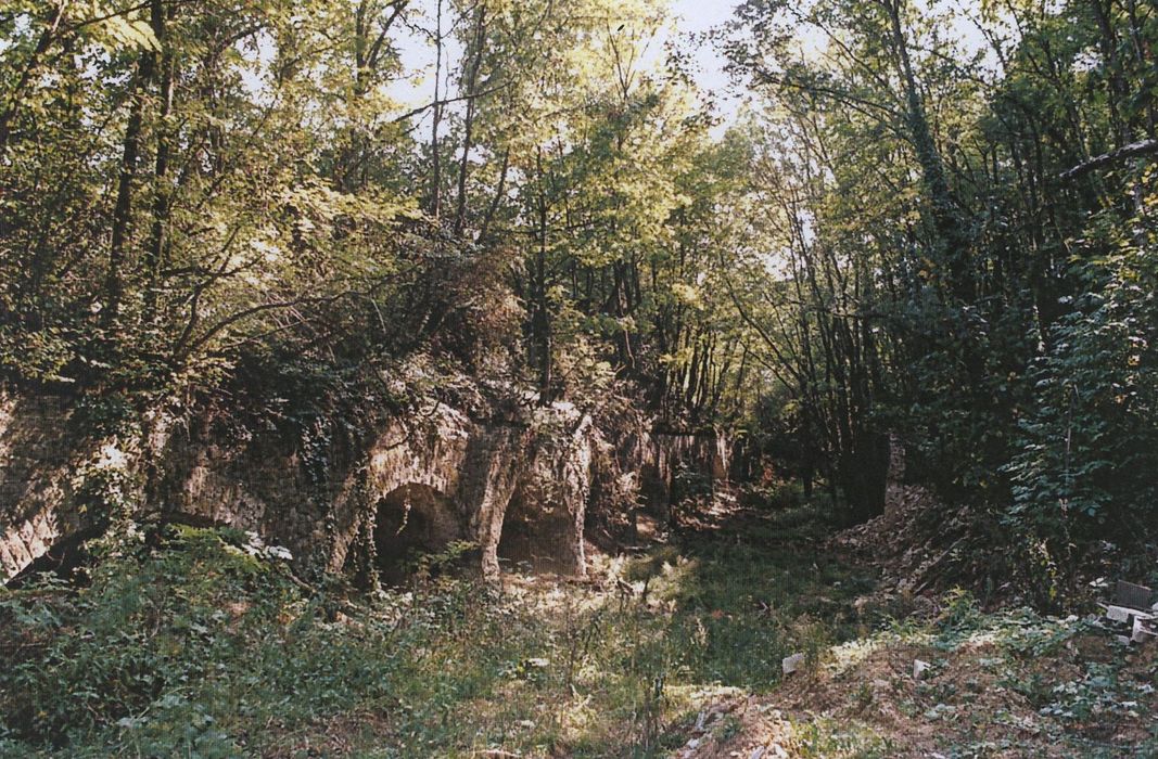 Fort de Sennecey dit fort Junot : Vue partielle des ruines