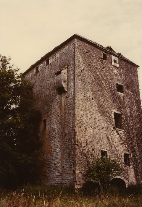 Château : Donjon, élévations nord et ouest, vue générale