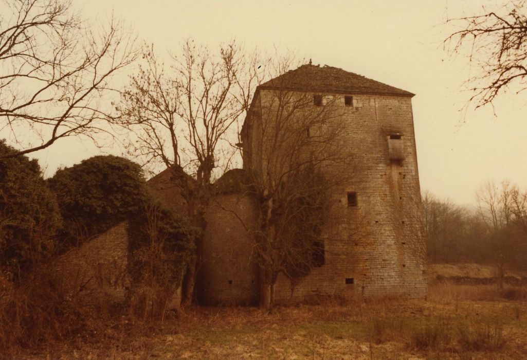 Château : Donjon, élévation nord, vue générale