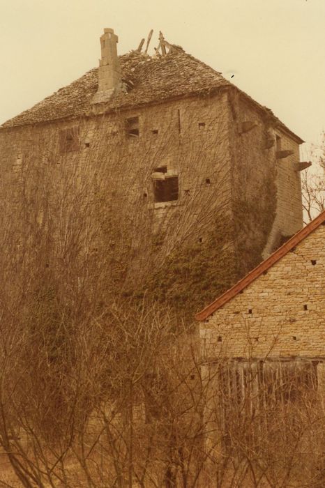 Château : Donjon, élévations sud et est, vue partielle