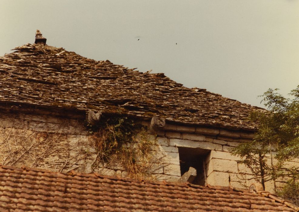 Château : Donjon, détail des dauphins en pierre