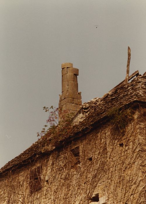 Château : Donjon, détail de la cheminée