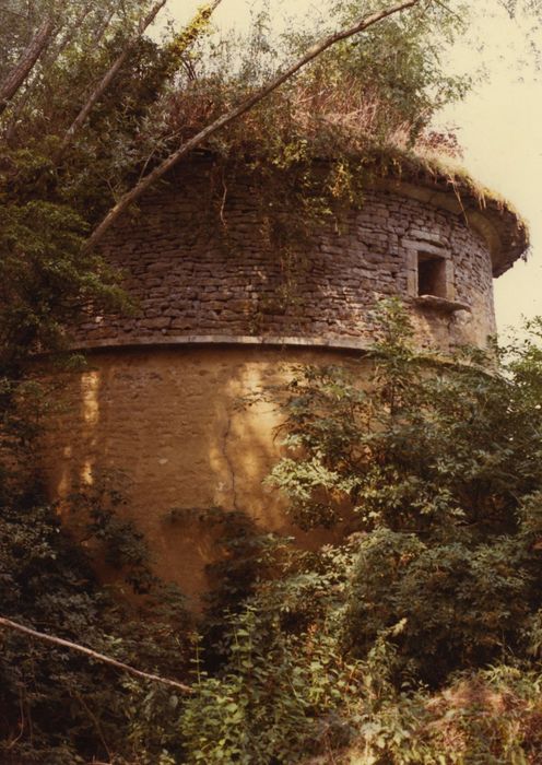 Château : Colombier, vue partielle