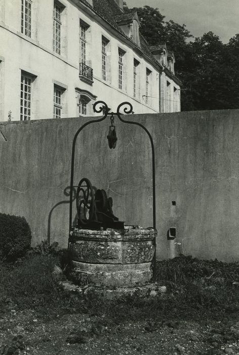 Château de Tanyot : Puits, vue générale