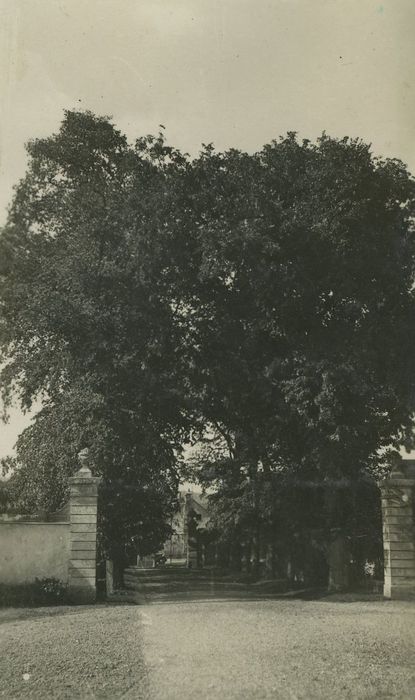 Château : Allée d’accès ouest, vue générale