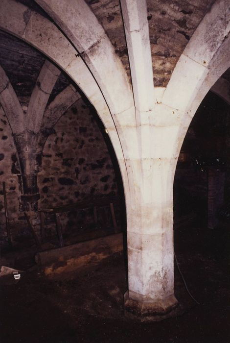 Château de Bourbilly : Caves, vue partielle