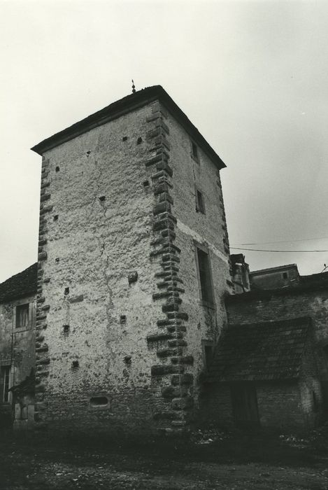 Château de Villeberny : Donjon, élévations sud et est, vue générale