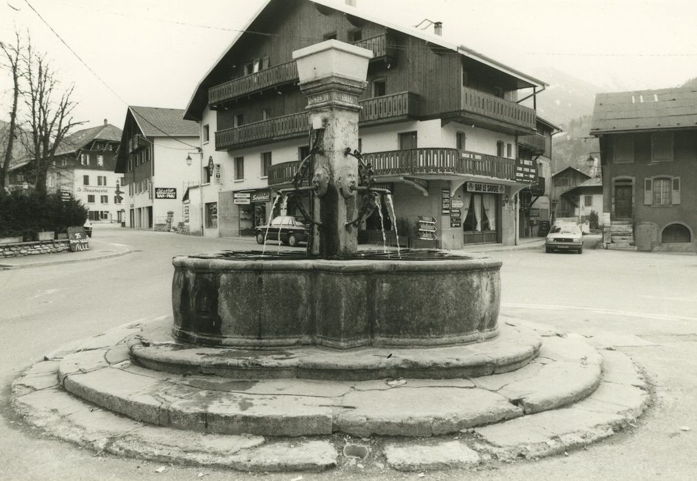 Fontaine : Vue générale de la fontaine dans son environnement