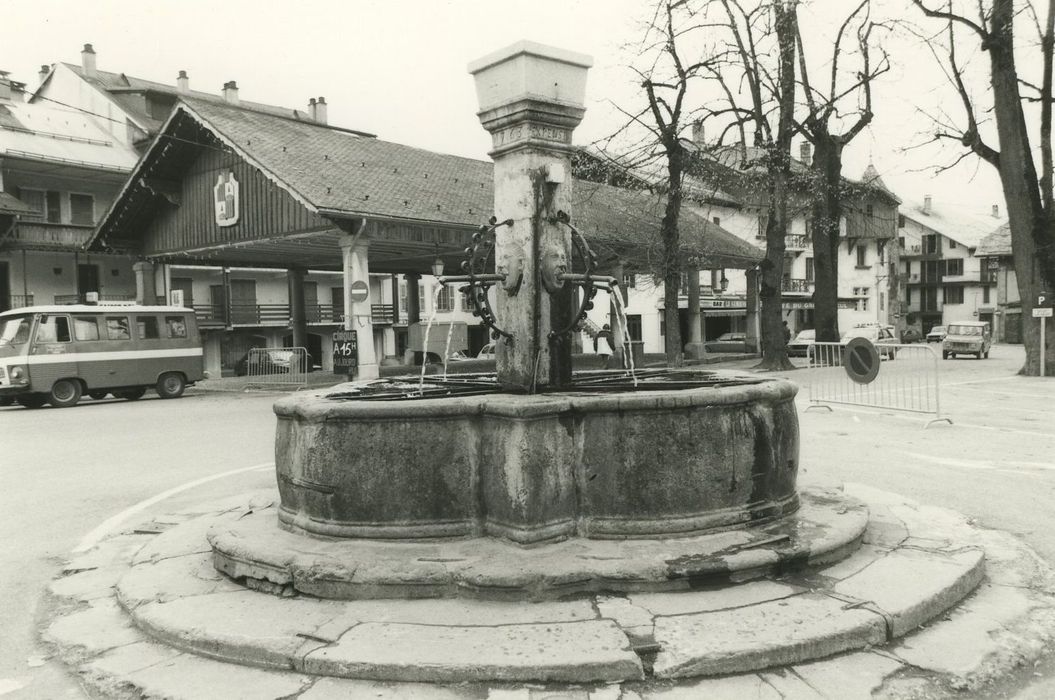 Fontaine : Vue générale de la fontaine dans son environnement