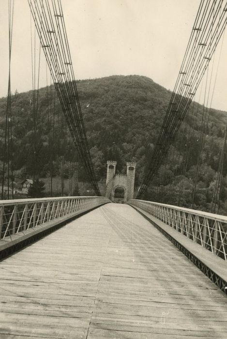 Pont suspendu de la Caille, vue générale