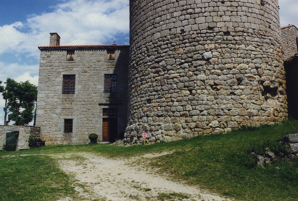 Château fort d'Esplantas : Base, du donjon et logis, façade sud-ouest, vue partielle