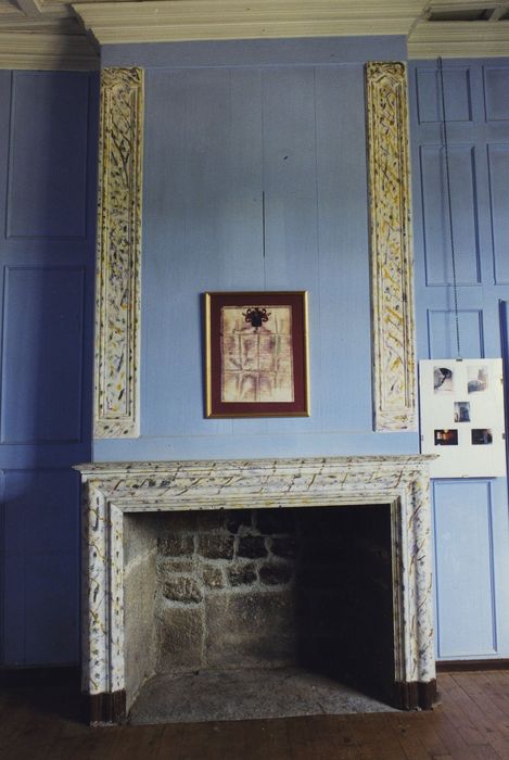 Château fort d'Esplantas : Corps de logis, rez-de-chaussée, chambre n°2, cheminée, vue générale