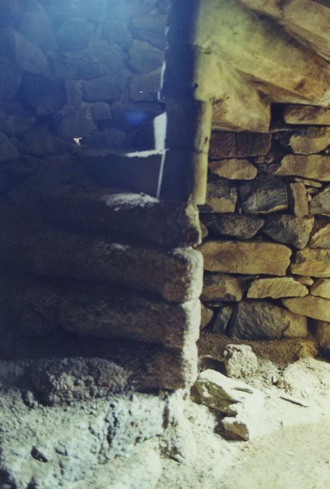 Ferme des Plantins : Logis, escalier, vue partielle