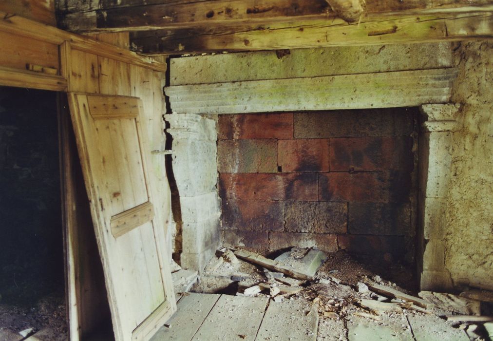 Ferme des Plantins : Logis, 1er étage, cheminée monumentale, vue générale