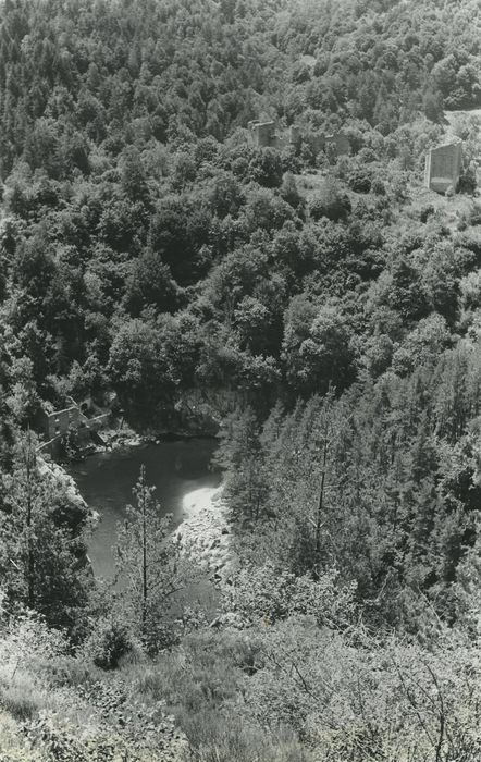 Vestiges du château de Carry : Vue générale des ruines dans leur environnement depuis le Nord-Est