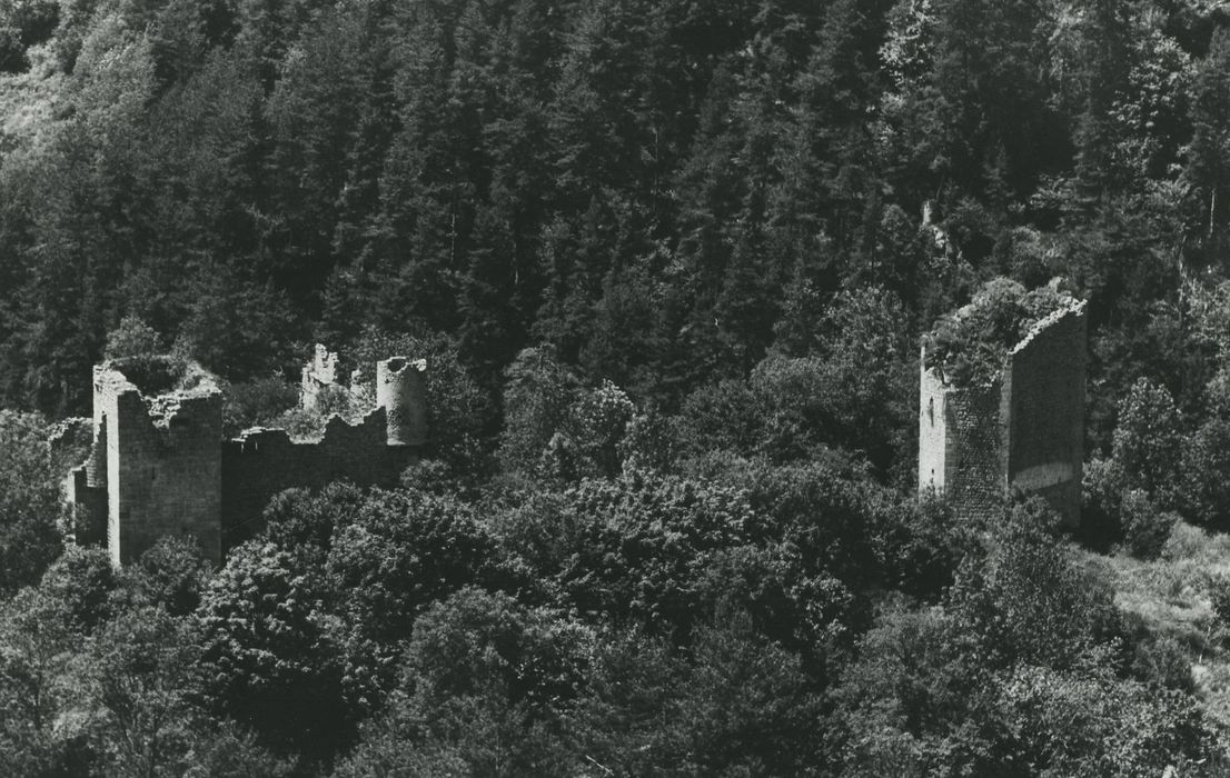 Vestiges du château de Carry : Vue générale des ruines dans leur environnement depuis l’Est