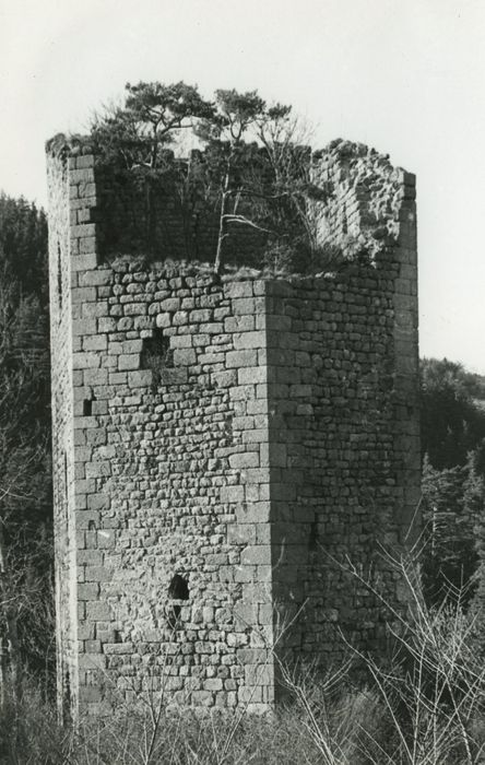 Vestiges du château de Carry : Tour nord, élévations sud et est, vue générale