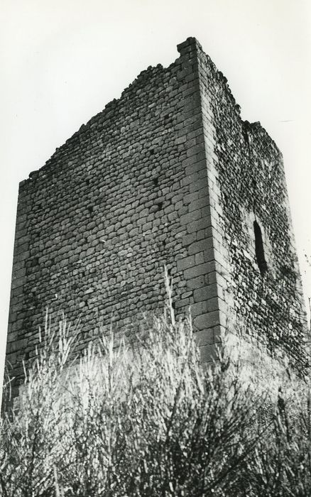 Vestiges du château de Carry : Tour nord, élévations nord et ouest, vue générale