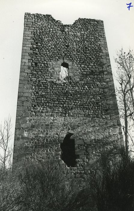 Vestiges du château de Carry : Tour nord, élévation ouest, vue générale