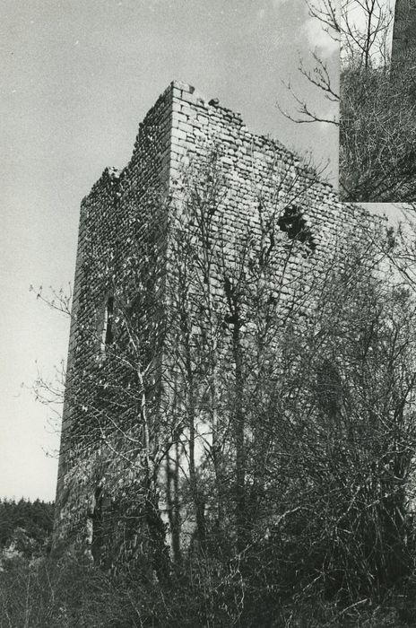 Vestiges du château de Carry : Tour nord, élévations sud et ouest, vue générale