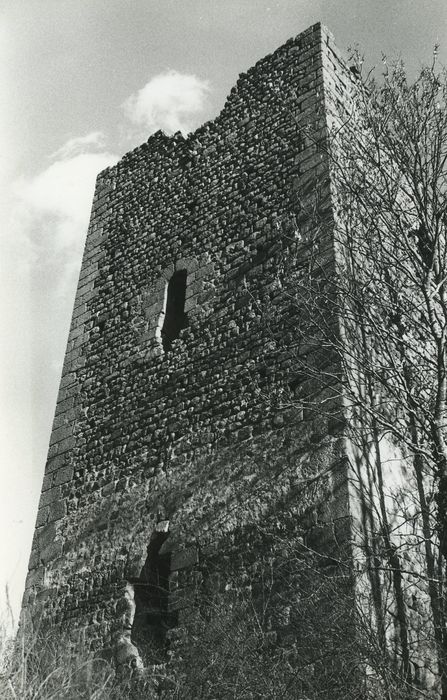 Vestiges du château de Carry : Tour nord, élévation ouest, vue générale