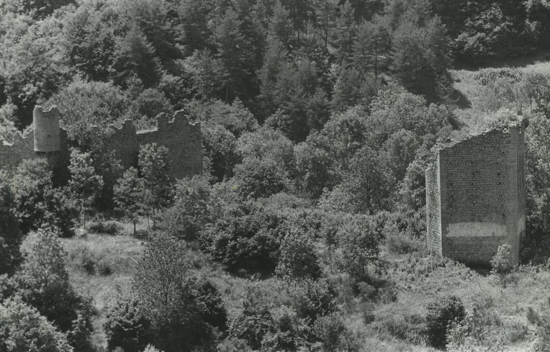 Vestiges du château de Carry : Vue générale des ruines dans leur environnement depuis l’Ouest