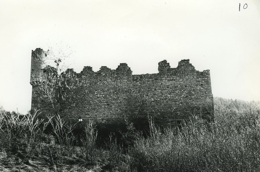 Vestiges du château de Carry : Coourtines nord, vue générale