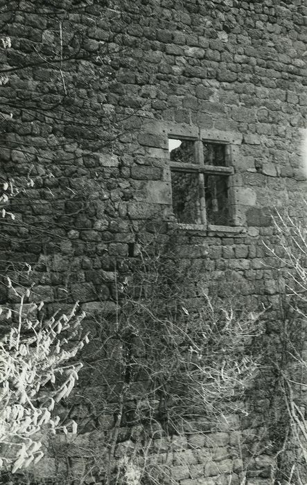 Vestiges du château de Carry : Courtines nord, détail d’une baie