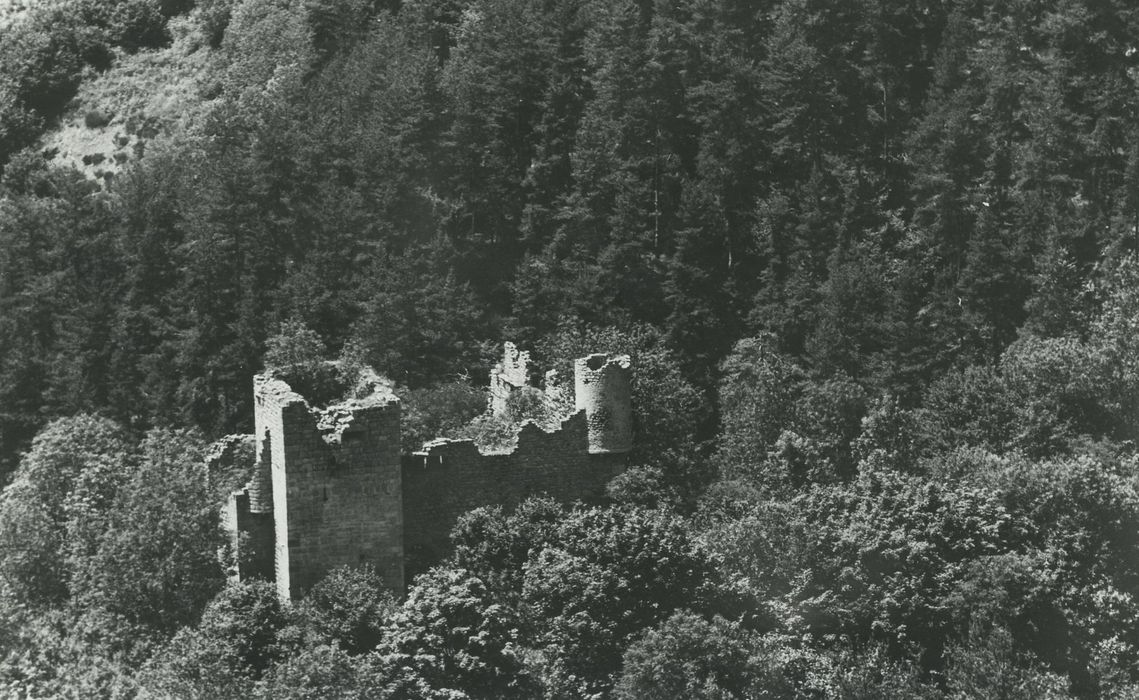 Vestiges du château de Carry : Vue partielle des ruines dans leur environnement depuis l’Est