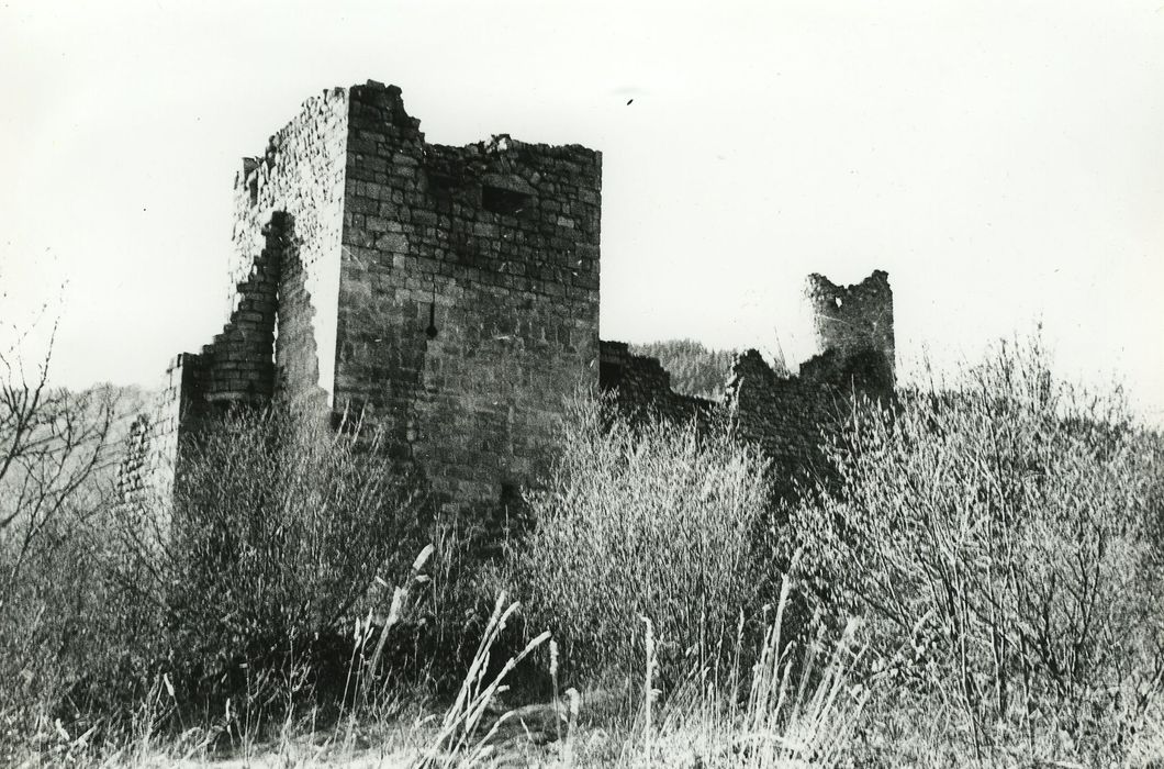 Vestiges du château de Carry : Donjon, élévation est, vue partielle