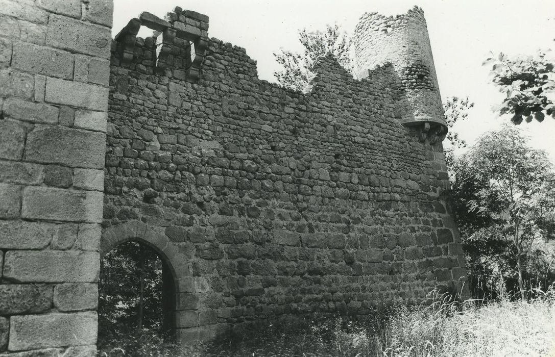 Vestiges du château de Carry : Façade est, vue partielle