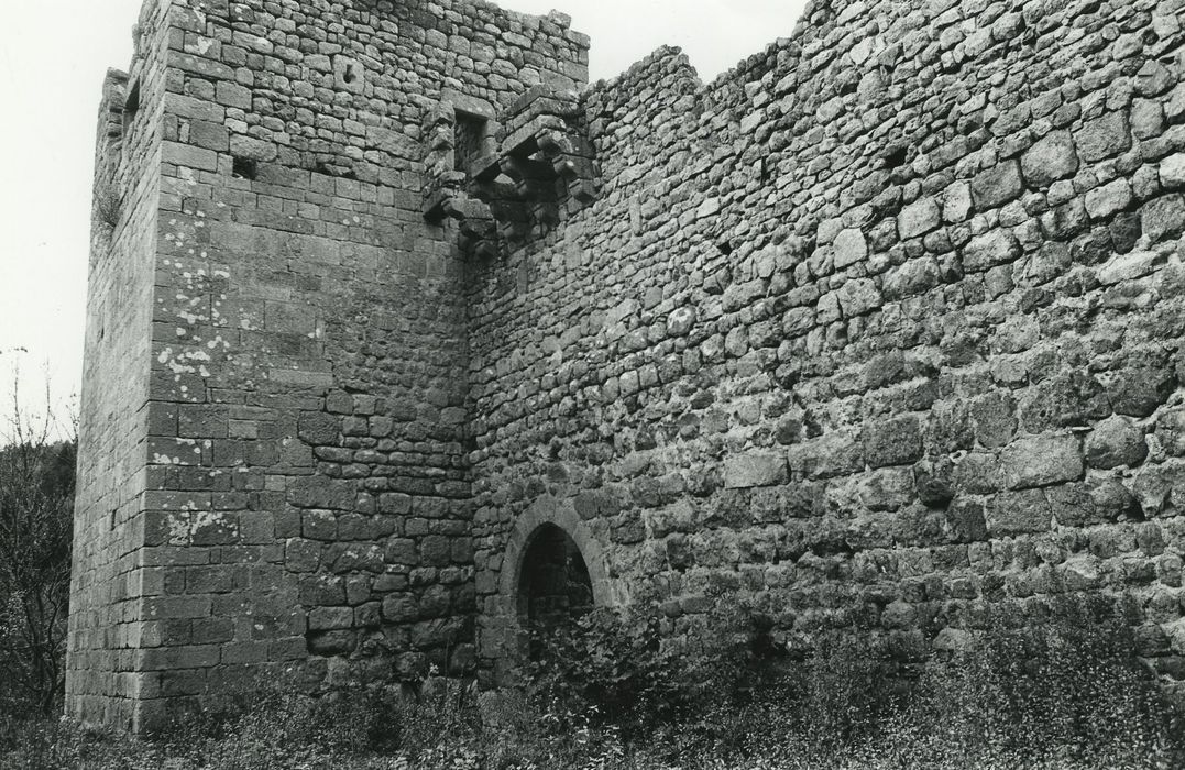 Vestiges du château de Carry : Façade est, vue partielle