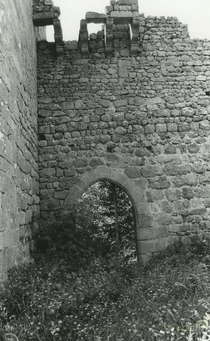 Vestiges du château de Carry : Porte d’accès est, vue générale