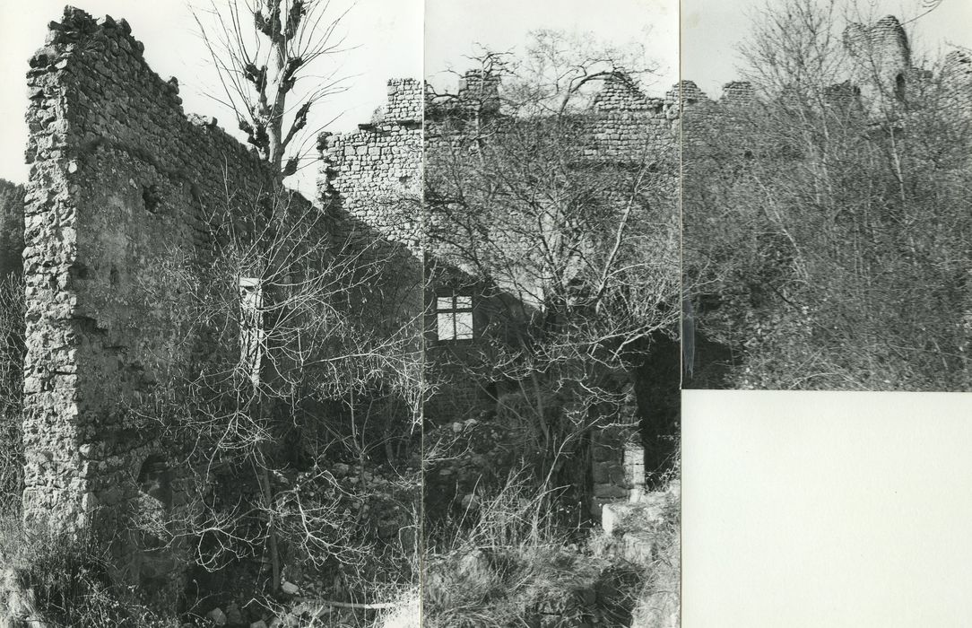 Vestiges du château de Carry : Vue partielle des ruines depuis l’intérieur du corps du logis, murs nord et ouest