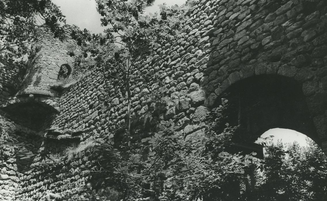 Vestiges du château de Carry : Vue partielle des ruines depuis l’intérieur du corps du logis, mur est