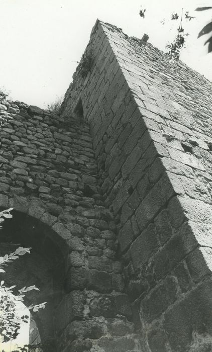 Vestiges du château de Carry : Donjon, angle nord-ouest, détail des maçonneries