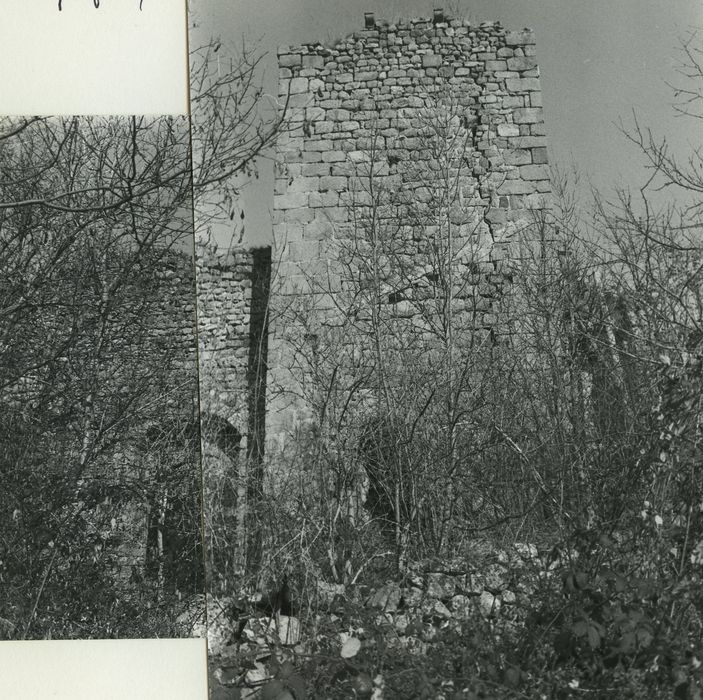 Vestiges du château de Carry : Donjon, élévation sud, vue générale