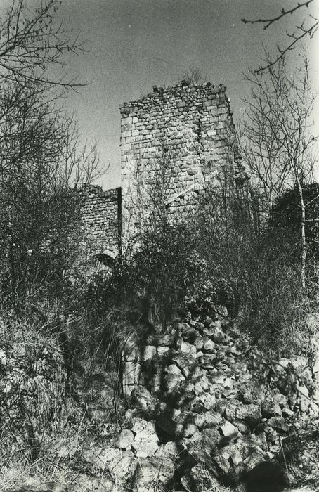 Vestiges du château de Carry : Donjon, élévation sud, vue partielle