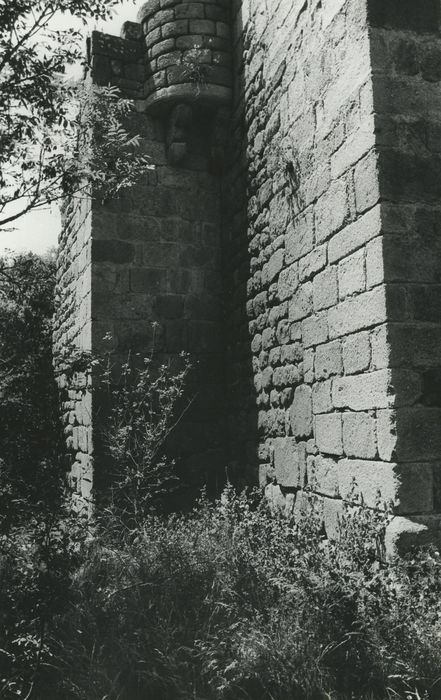 Vestiges du château de Carry : Logis, façade est, détail des maçonneries