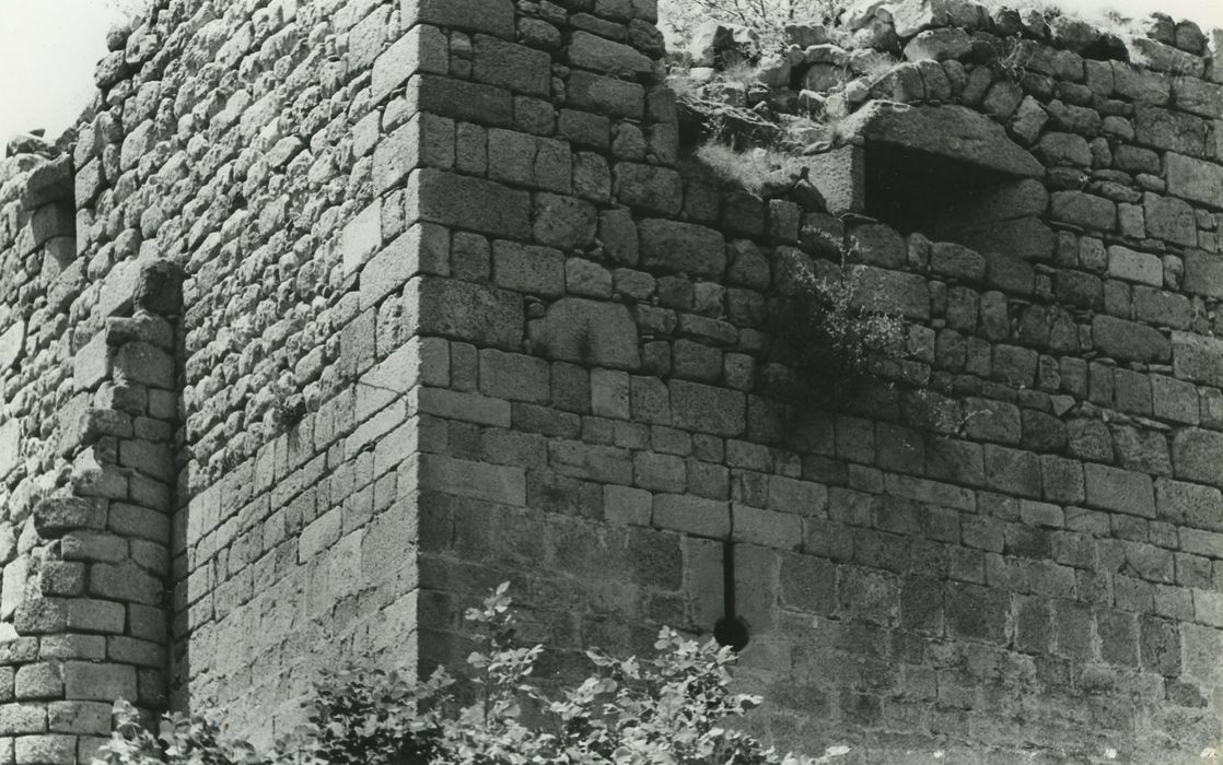 Vestiges du château de Carry : Donjon, élévations sud et est, détail des maçonneries