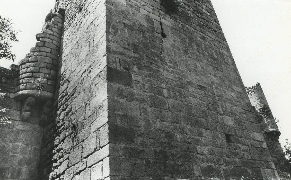 Vestiges du château de Carry : Donjon, élévations sud et est, détail des maçonneries