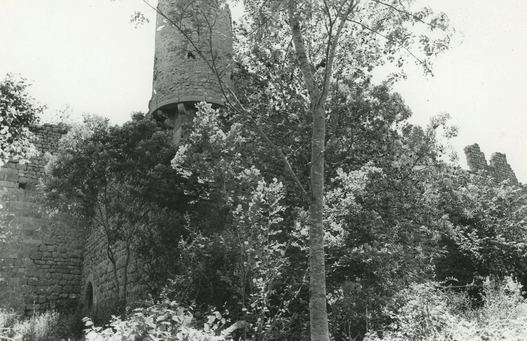 Vestiges du château de Carry : Vue partielle des ruines depuis l’angle nord-est