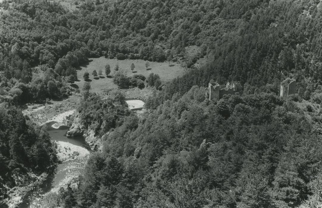 Vestiges du château de Carry : Vue générale des ruines dans leur environnement depuis le Nord-Est