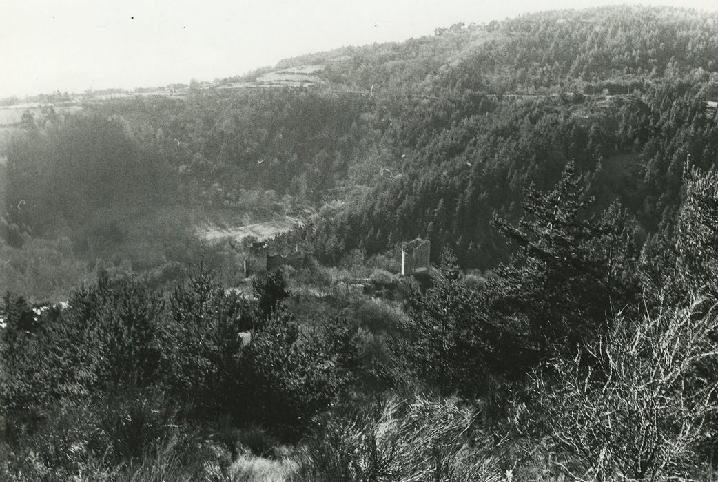 Vestiges du château de Carry : Vue générale des ruines dans leur environnement depuis le Nord-Est