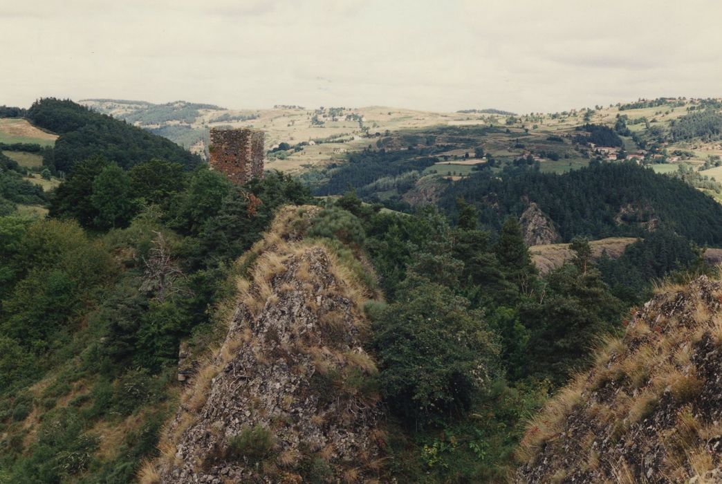 Château de Mariac : Vue générale des ruines du château dans leur environnement depuis le Sud