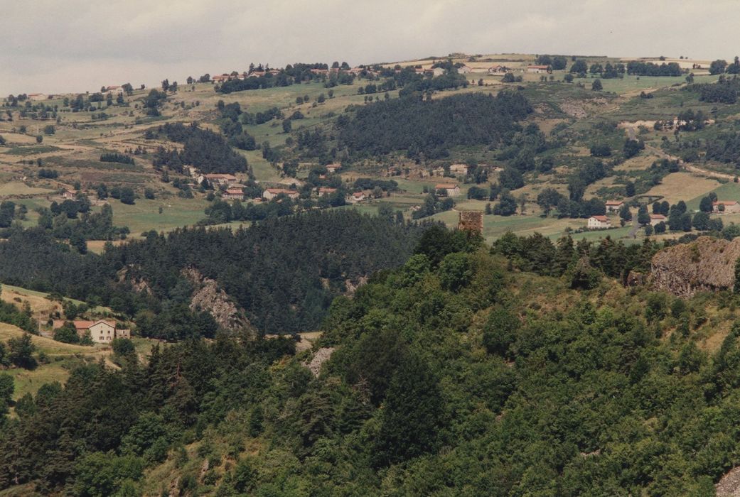 Château de Mariac : Vue générale des ruines du château dans leur environnement depuis le Sud