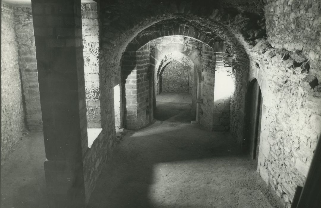 Château fort de Lamothe : Soubassements médiévaux, ancienne entrée du pont-levis, vue générale