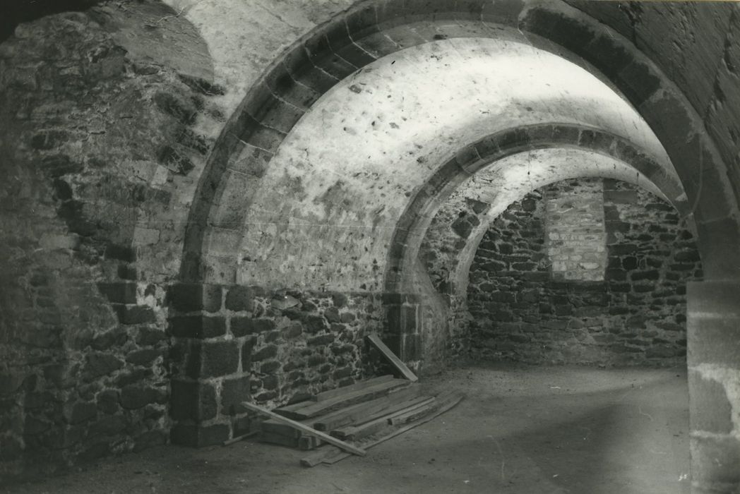 Château fort de Lamothe : Cellier, vue générale